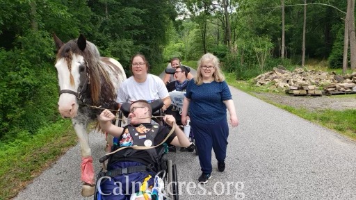 Helping to walk the horses!